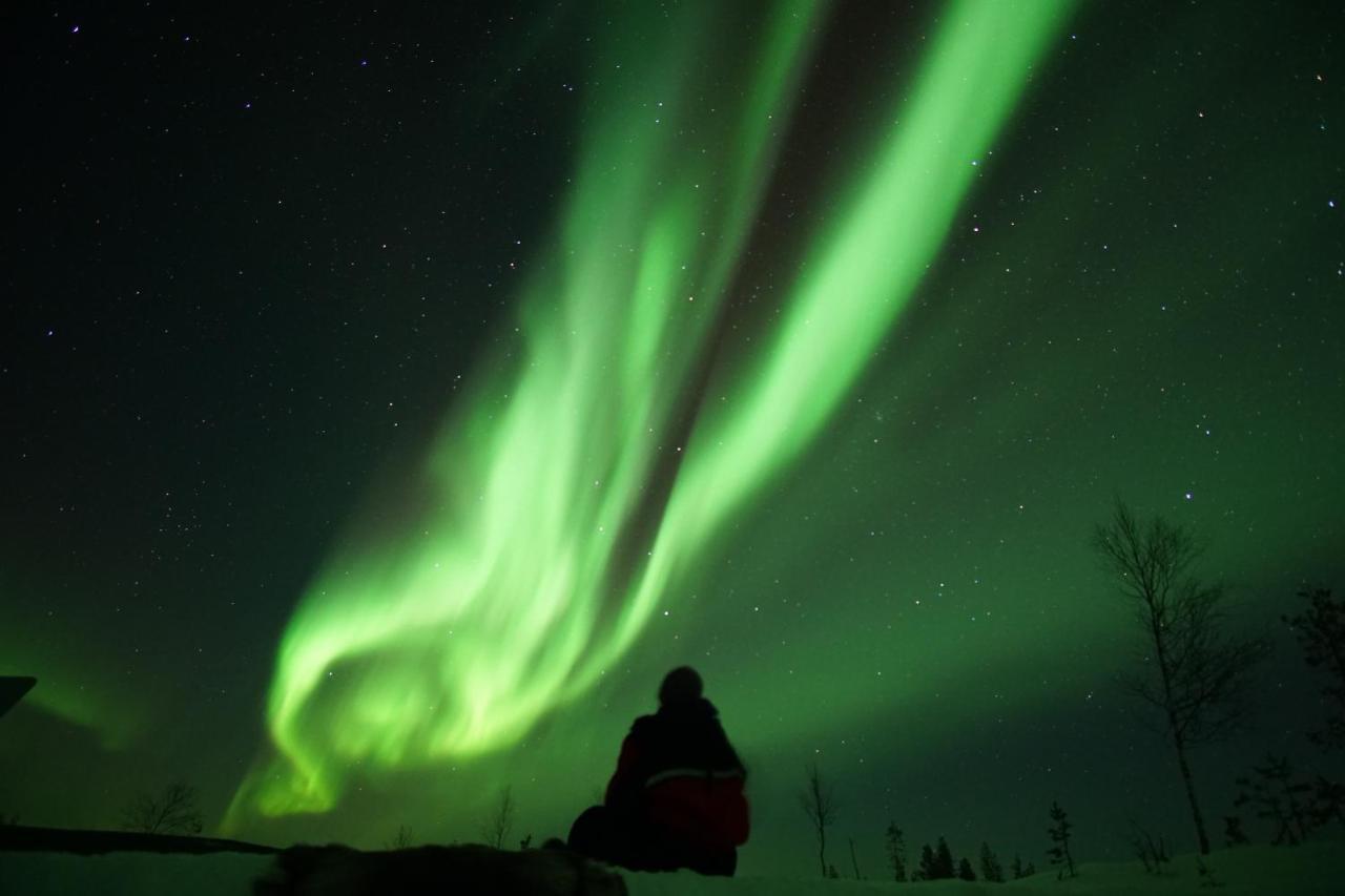 Arctic City Nest روفانييمي المظهر الخارجي الصورة